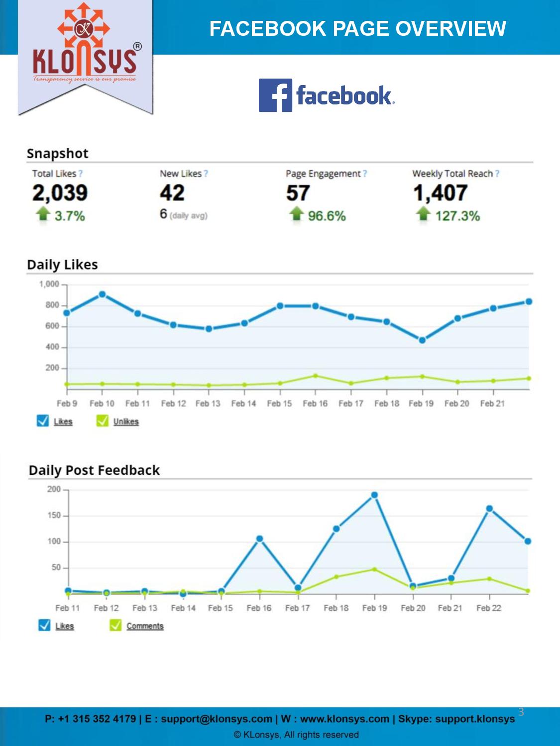 Social Media Report -page-003